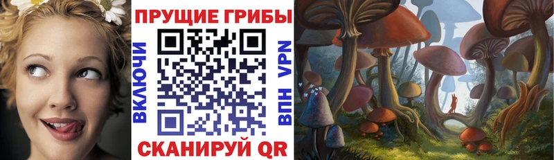 Галлюциногенные грибы Psilocybe цены наркотик Алексин